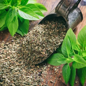 Basil