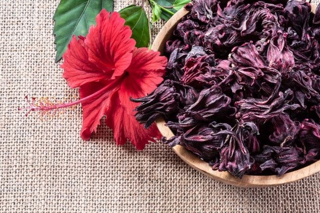 hibisco1