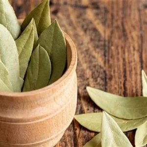 Laurel Leaves